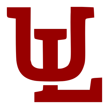 Union Laguna