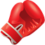 Boxing icon
